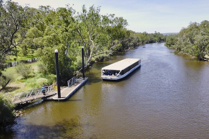 Cruising the Swan Tour - Why This Tour Can Work for You