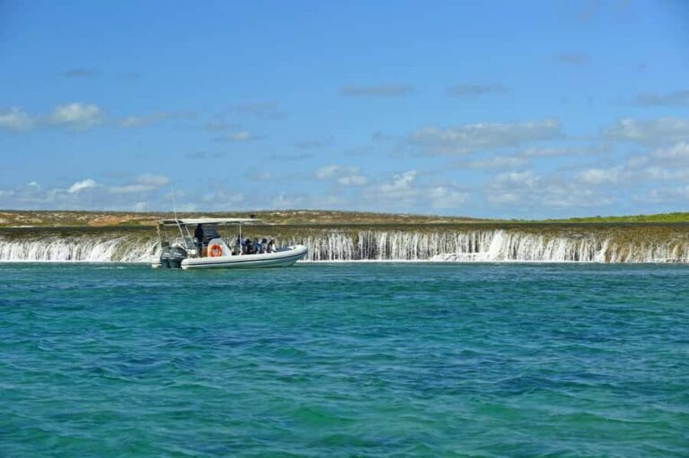 Cygnet Bay Unique Tidal Waterfall Reefs Scenic Cruise - How the Tour Unfolds