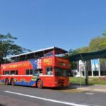 Darwin: Crocosaurus Cove Entry & Hop-on-Hop-Off Bus Tour - The Hop-on Hop-off Bus Tour: Navigating Darwin