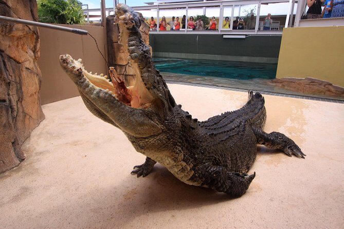 Darwin Hop-on Hop-off Bus Tour - FAQ