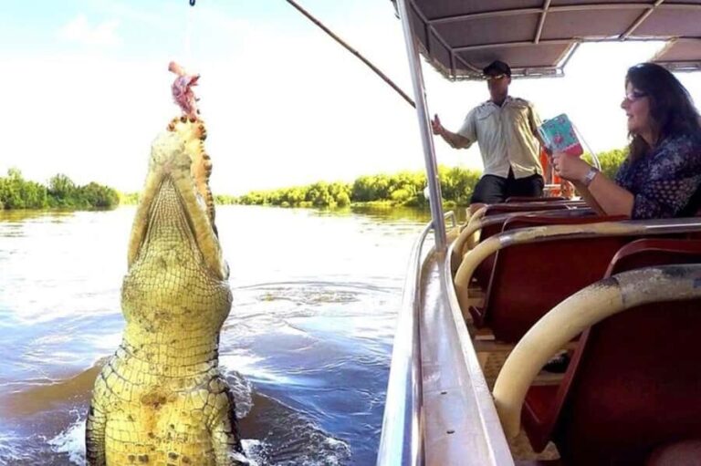 Darwin: Jumping Crocodile Adventure Cruise with Lunch - Who Should Book This Tour?