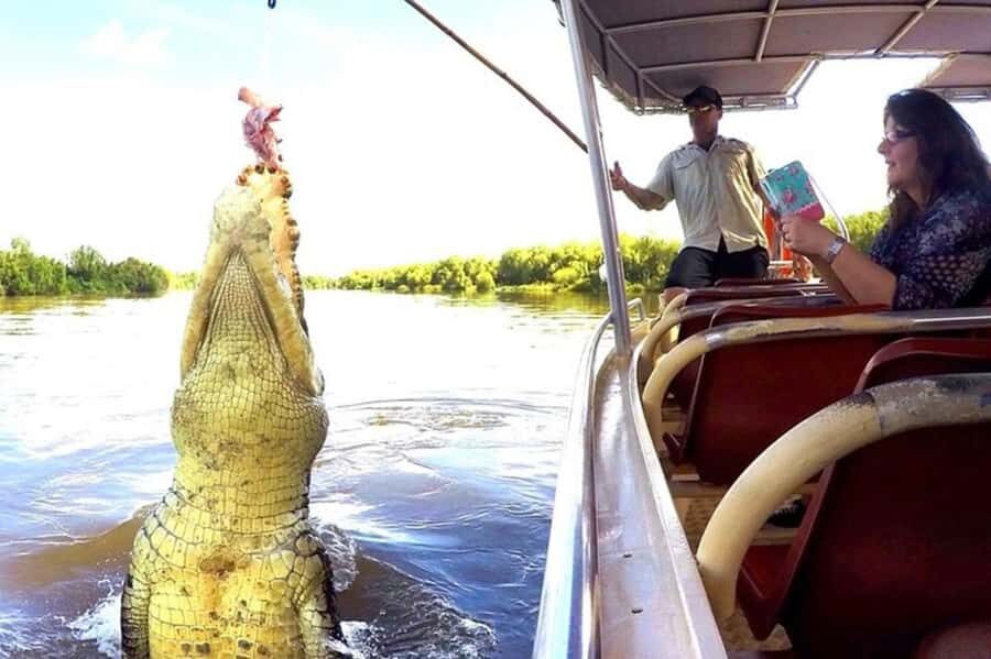 Darwin: Jumping Crocodile Adventure Cruise with Lunch - Who Should Book This Tour?