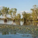 Darwin: Kakadu National Park Day Trip - What Makes This Tour Stand Out?