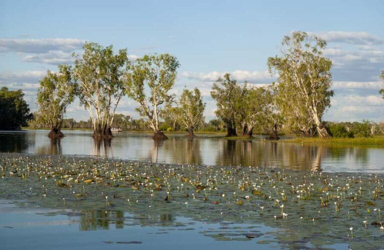 Darwin: Kakadu National Park Day Trip - What Makes This Tour Stand Out?