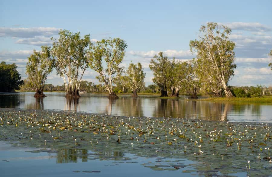 Darwin: Kakadu National Park Day Trip - What Makes This Tour Stand Out?