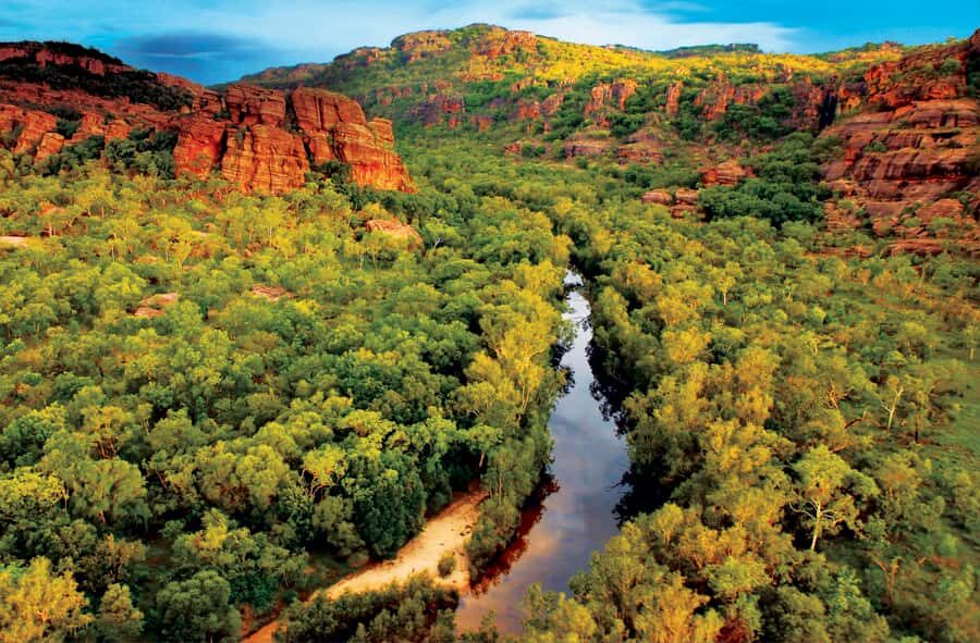 Darwin: Kakadu & Nourlangie Day Trip Plus Billabong Cruise - The Real Deal from Travelers