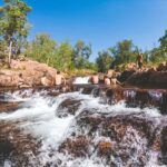 Darwin: Litchfield National Park Waterfalls & Wildlife Tour - What the Reviews Say