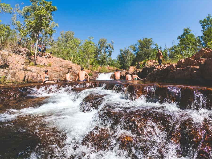 Darwin: Litchfield National Park Waterfalls & Wildlife Tour - What the Reviews Say