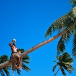 Day and Night Combo Tour - Practical Details and Tips for Travelers