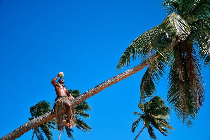 Day and Night Combo Tour - Practical Details and Tips for Travelers