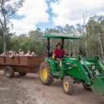 Day Entry ticket - Why This Experience Works for Different Travelers