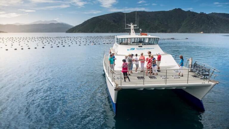 Depart Picton: Marlborough Sounds Afternoon Seafood Cruise - The Experience Itinerary