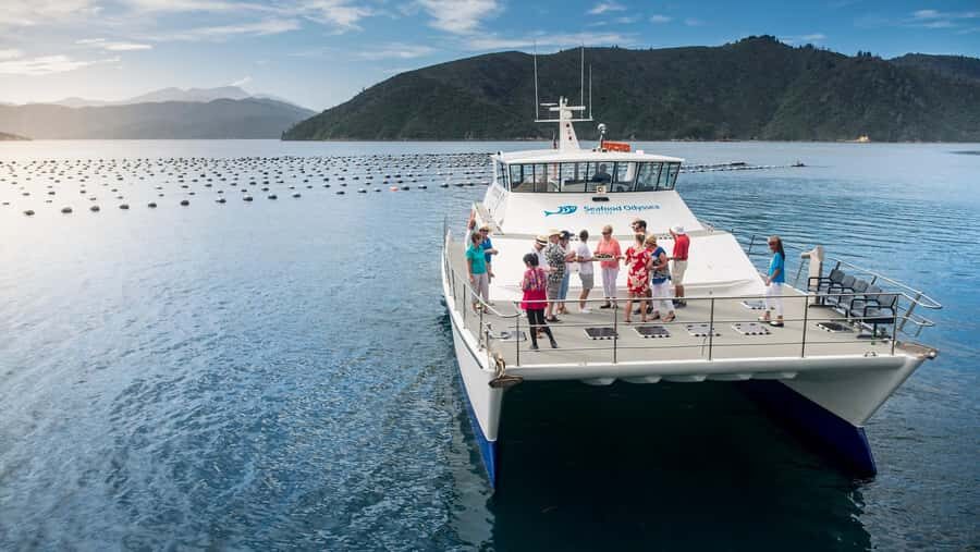 Depart Picton: Marlborough Sounds Afternoon Seafood Cruise - The Experience Itinerary