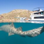 Derby to Horizontal Falls Half Day Adventure - What Do the Reviews Say?