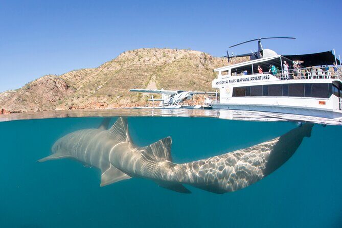 Derby to Horizontal Falls Half Day Adventure - What Do the Reviews Say?