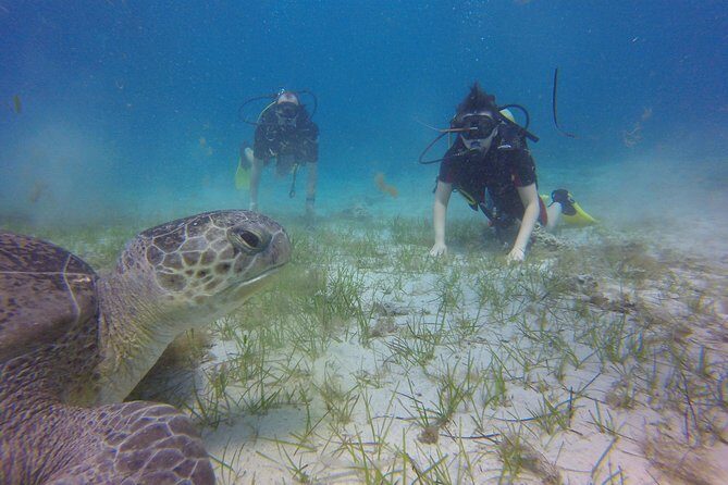 Discover Scuba diving - Gear and instruction are included, and that’s the value