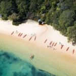 Double Kayak Hire - 4 Hours - What Do the Reviews Say?