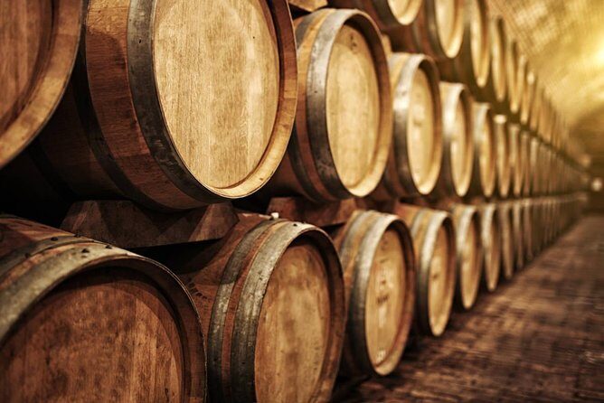 Douro Valley Best-Of Private Tour – Fully Customizable Experience - Price and Logistics: What You’re Paying For