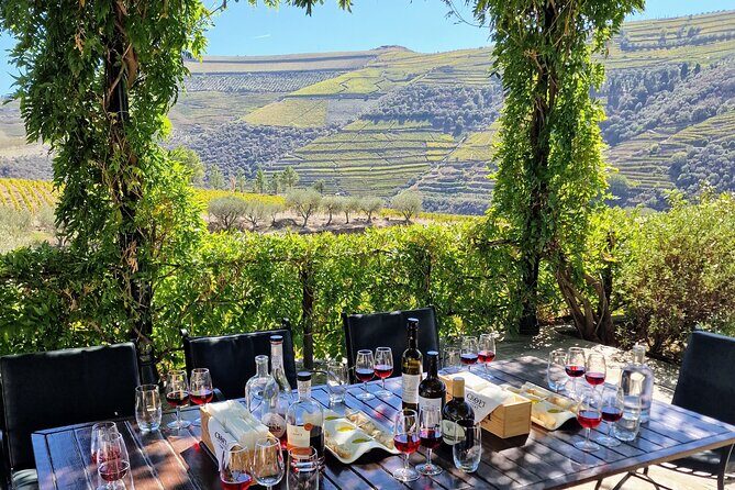 Douro Valley-Expert Guide-Boat-Lunch-Tastings-Offer wine bottle - Practical Considerations That Matter