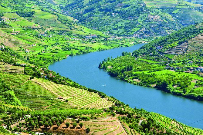 Douro Valley with Two Winery, Boat Trip and Lunch From Porto - The Guides: Why They Actually Matter