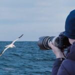 Dunedin City to Sea Wildlife Cruise + Peninsula Bus Tour - Who Will Love This Tour?