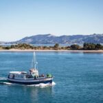 Dunedin: Monarch - One Hour Wildlife Cruise - Value for Money and Booking