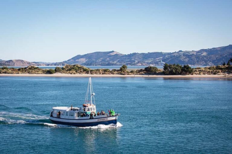 Dunedin: Monarch - One Hour Wildlife Cruise - Value for Money and Booking