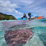 Eco guided excursion to the lagoon of Moorea in transparent kayak 1/2 day morning - FAQs