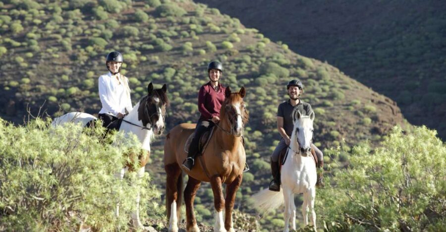 El Salobre: Horse Riding Adventure with Transfer Options - The Gran Canaria logistics: meeting point and optional transfer