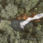 Eungella Platypus Tour - The Hike and Waterfalls: What to Expect