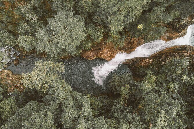 Eungella Platypus Tour - The Hike and Waterfalls: What to Expect