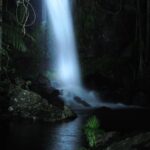 Evening Rainforest & Glow Worm Tour from Gold Coast - Detailed Breakdown of the Itinerary