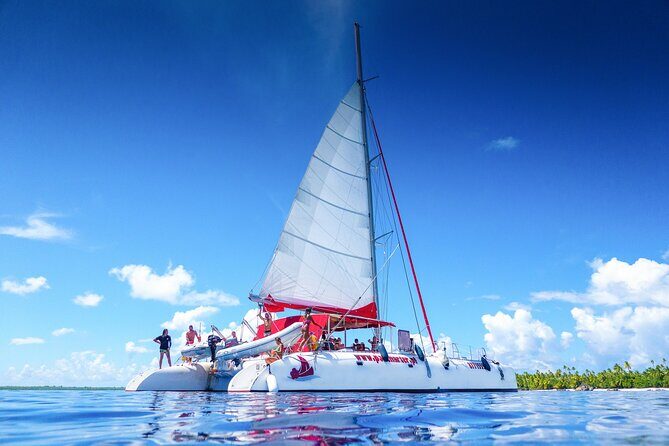 Excursion to Tetiaroa by Catamaran Visit Lunch Snorkeling - Is It Worth the Price?