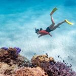 Exmouth: Guided Ningaloo Reef Snorkel Adventure - How This Tour Compares in Price and Value