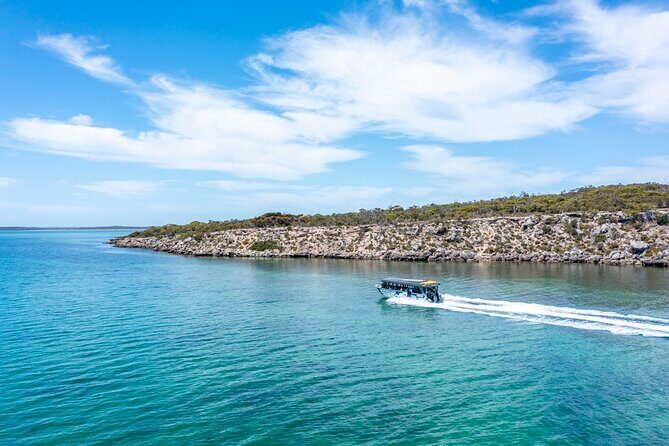 Experience Coffin Bay Short and Sweet Oyster Farm Tour - Who Is This Tour Perfect For?
