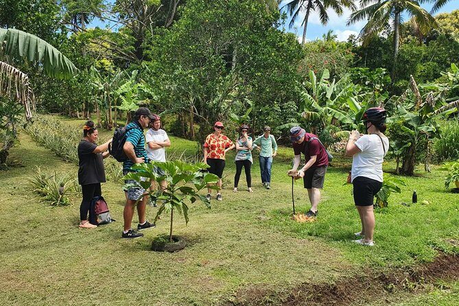'Explore' Rarotonga Guided Bike Tour with Lunch and Swim - Who Would Love This Tour?