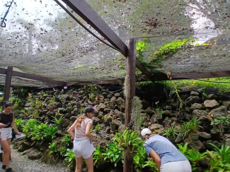 FIJI: Garden of the Sleeping Giant Tour - Who Will Love This Tour?