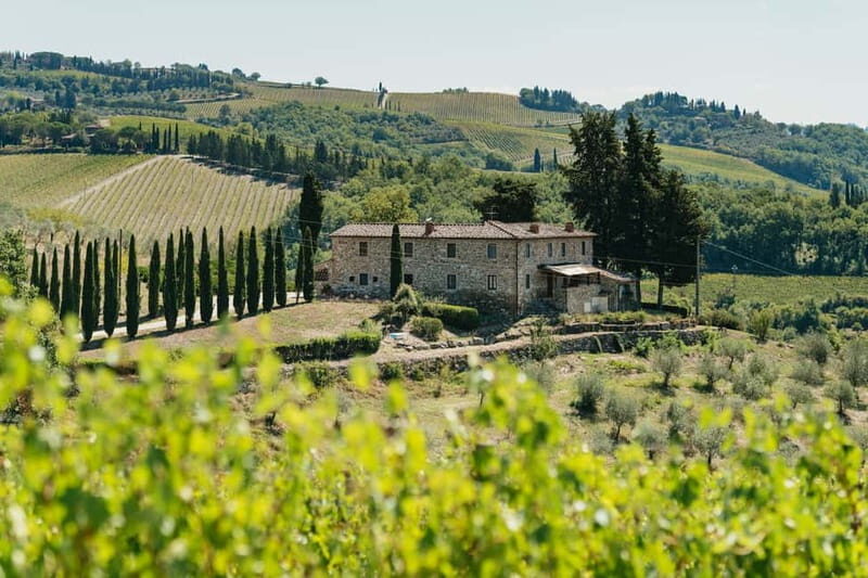 Florence: Chianti Wineries Tour with Wine Tasting - Meet at Piazzale Montelungo, Then Roll Out of Florence