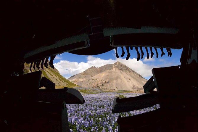 FlyOver Iceland Admission Ticket - Value Analysis