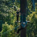 Forest Adventures - The Course Layout and Challenges