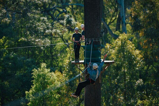 Forest Adventures - The Course Layout and Challenges
