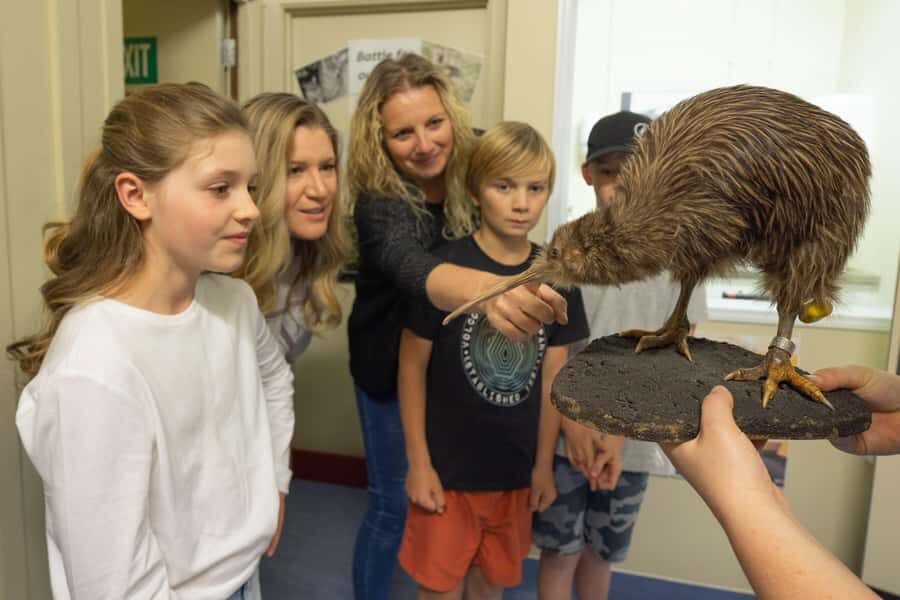 Franz Josef: Kiwi VIP Backstage Pass Tour -Booking Essential - The Realities of the Experience