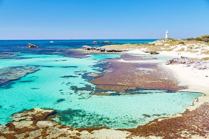 Fremantle to Rottnest Island Roundtrip Ferry Ticket - Practical Tips & Considerations