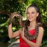 Friends in the Rainforest Package: Koala Gardens & Birdworld - The Value of the Experience