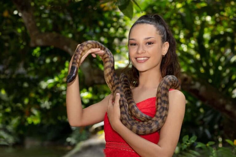 Friends in the Rainforest Package: Koala Gardens & Birdworld - The Value of the Experience