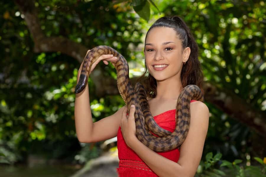 Friends in the Rainforest Package: Koala Gardens & Birdworld - The Value of the Experience