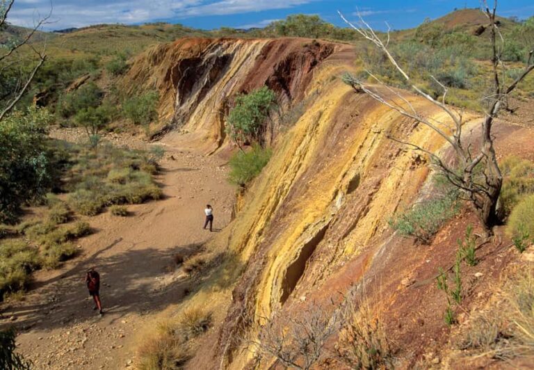 From Alice Springs: West MacDonnell Ranges Day Trip - Who Is This Tour Best For?