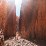 From Alice Springs: West MacDonnell Ranges Half Day Trip - The Experience & Guides