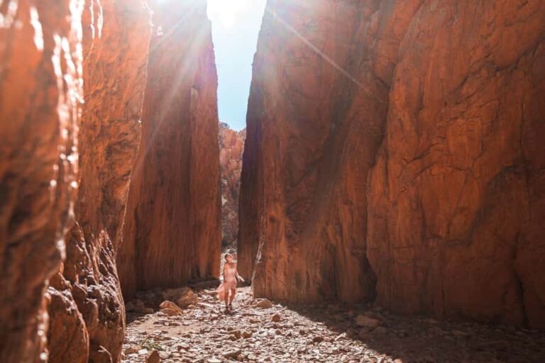 From Alice Springs: West MacDonnell Ranges Half Day Trip - The Experience & Guides