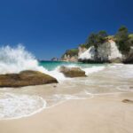 From Auckland: Cathedral Cove & Hot Water Beach Tour - Transport and Group Dynamics